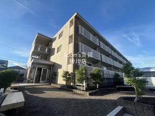 エレガントストークの画像