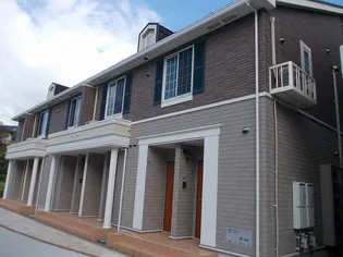 ティラミスの画像