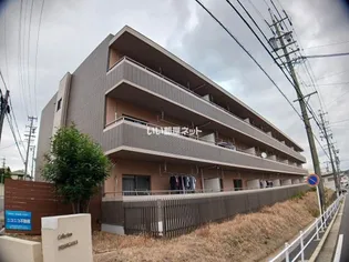 コレクション星が丘の画像