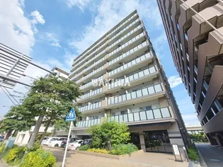 サンクレイドル東神奈川の画像