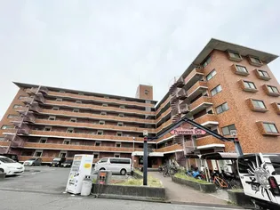 ピュアネスDoi【3階】の外観