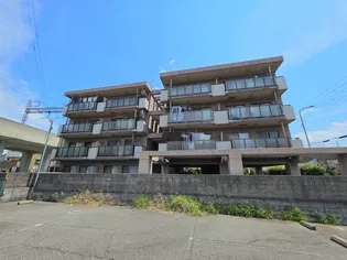 シレスティアル雪本の画像