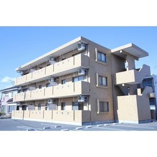 M ポラールの画像