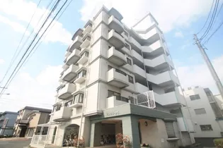 サングリーンⅡの画像