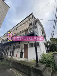 YSコートBの画像