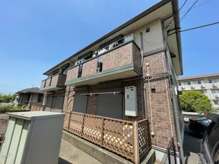 ストリームBの画像