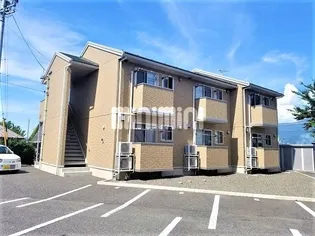 パティーナ Bの画像