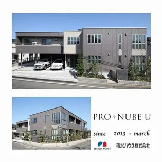 PRO NUBE Uの画像