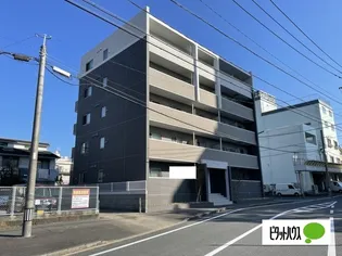 FELIZの画像