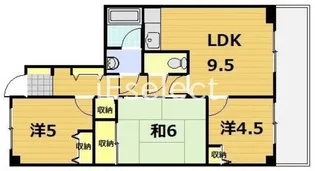 プラザ園生【5階】の間取り