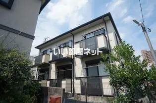 アルスハタゴの画像