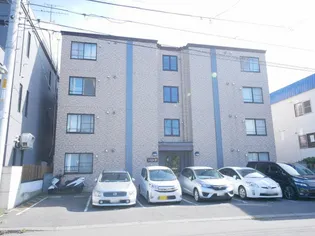 シエル31の画像