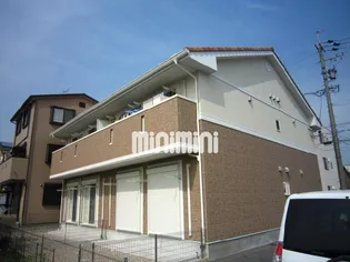 ヴィヴィアンの画像