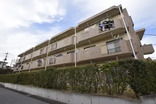 サンツヤマモトBの画像