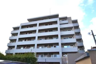 フォレストの画像