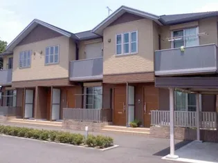 ドリーム バスケットの画像