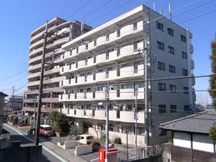 スリーゼヒル【4階】の外観