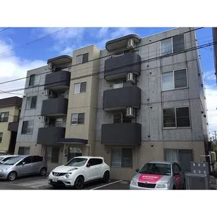 エバーグリーンの画像