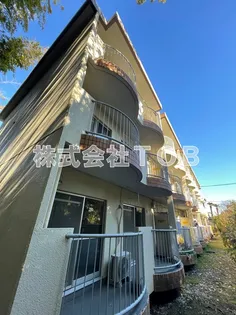 ハイム樹の画像