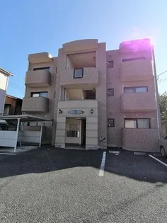 グランカモミールの画像