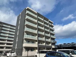 マリーゴールドの画像