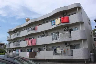 蓮ケ池ハイム【3階】の外観