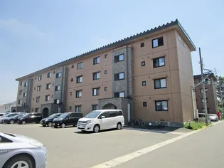 多賀台ヒルズマンションB【1階】の外観