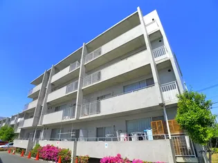 セレーノ大宮D棟【4階】の外観