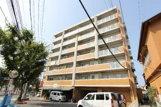 グレイス中井の画像