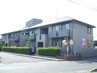 グランシード ニューCの画像