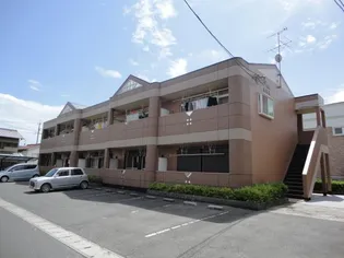 岡山県岡山市中区長岡【アパート】の外観