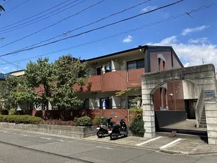 ブローニ ゼルコバの画像