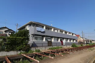 フラットTの画像