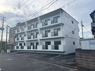 ポウルスター北斗の画像