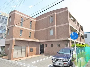 プラシードの画像