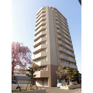 スカイコートの画像