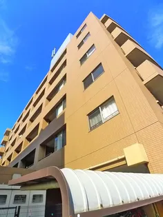 ウェルセットIIの画像