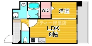 カウニスルーチェ【7階】の間取り