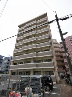 ピュア オータムの画像
