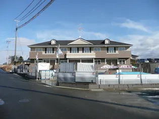 サイサリスの画像