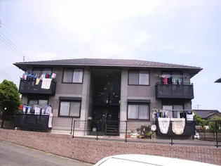 ルミエールの画像