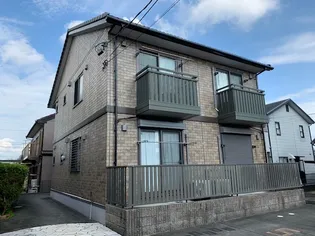 セントポーリアの画像