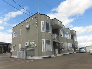 プラシードの画像