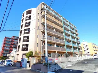 ドルファーズの画像