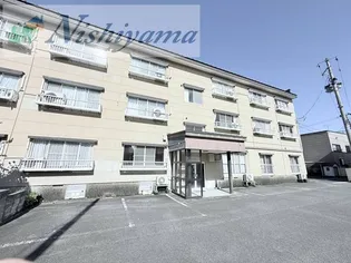 カキ カーサライオンズの画像