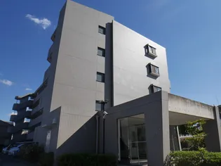 サン ヴィーゼT Mの画像