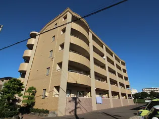 エクセレント クリアの画像