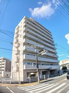 ルート Vの画像