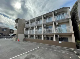 カントリーベアの画像