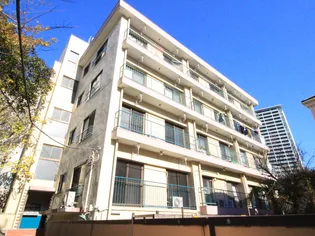 伊達マンシヨン【4階】の外観